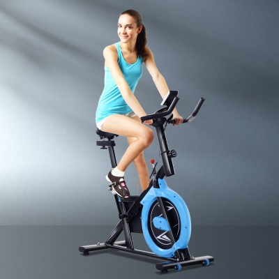 Soozier Stationary Exercise Bike, 13lbs Flywheel Belt Drive Training Bicycle, w/ Adjustable Resistance LCD Monitor