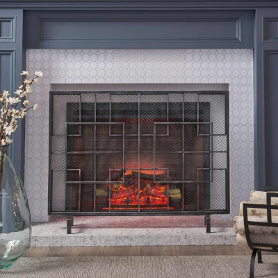Modern Iron Fire Screen with Single Panel Design and Fine Mesh, Black+Silver