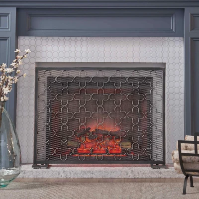 Modern Iron Fire Screen with Single Panel Design and Fine Mesh, Black+Silver