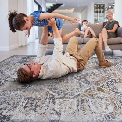 Naar 8x10 Stain-Resistant Area Rug with Non-Shedding Design and Cotton Backing, Multicolor