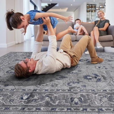 Naar 8x10 Stain-Resistant Area Rug with Cotton Backing, Grey+Blue