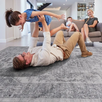 Naar 8x10 Stain-Resistant Area Rug with Non-Shedding Design, Silver