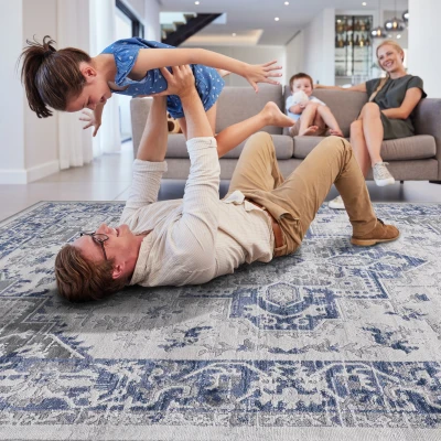 Naar 8x10 Stain-Resistant Area Rug with Cotton Backing, Blue+Grey