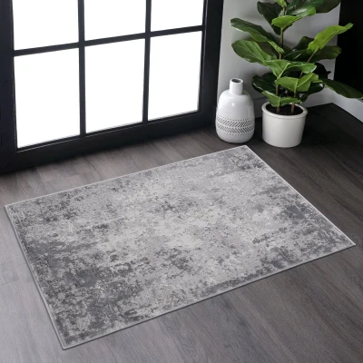 Naar 2x3 Stain-Resistant Area Rug with Non-Shedding Design and Cotton Backing, Grey