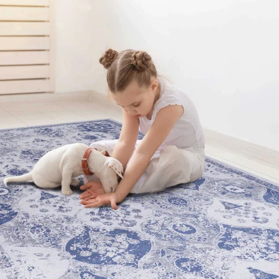 5x8 Washable Kid and Pet Friendly Area Rug, Blue