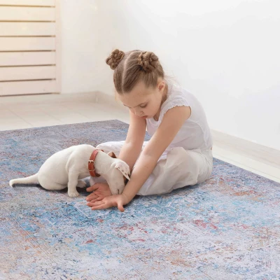 8x10 Washable Kid and Pet Friendly Area Rug, Multicolor