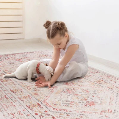 8x10 Washable Kid and Pet Friendly Area Rug, Beige
