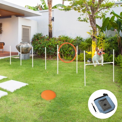 PawHut 5 Pieces Dog Agility Training Equipment with Disc, Whistle, Weaves Poles, Adjustable Jumping Poles, Food Bag, Carry Bag