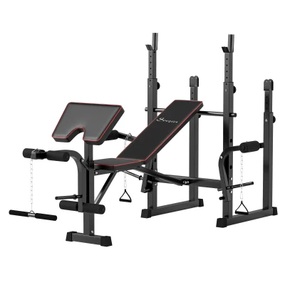 Soozier Weight Bench with Barbell Rack, Preacher Curl Bench, Leg Curl Machine for Home Weight Lifting Strength Training