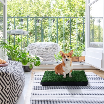 PawHut Dog Grass Pad with Tray, Artificial Grass for Dogs, Doggy Bathroom Toilet Potty Tray Indoor Outdoor Puppy Potty Training (51 x 63 CM)