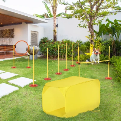 PawHut 4-Piece Dog Agility Training Set with Tunnel & Hurdle