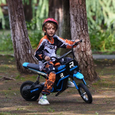 Aosom 24V 350W Electric Dirt Bike, 15 MPH, Blue