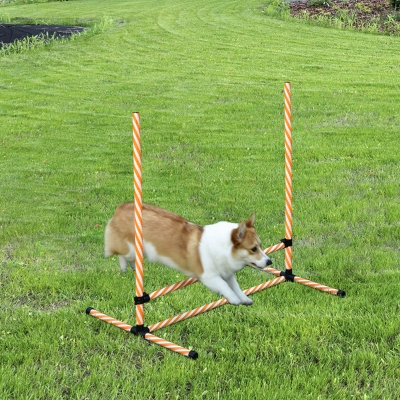 PawHut 6-Piece Dog Agility Training Set, Orange & White