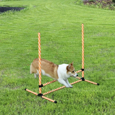 PawHut 6-Piece Dog Agility Training Set, Orange & White