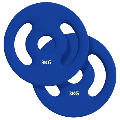 Soozier 2 x 6.6lbs Standard Weight Plates with Easy-Grip Handles, 1" Holes, for Home, Gym, Weight Lifting and Strength Training