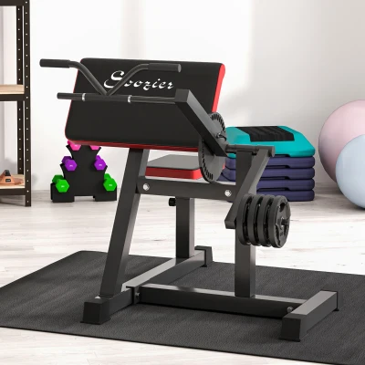 Soozier 2-In-1 Bicep Curl Bench, Adjustable Seat for Home Gym