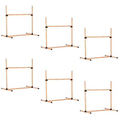PawHut 6-Piece Dog Agility Training Set, Orange & White