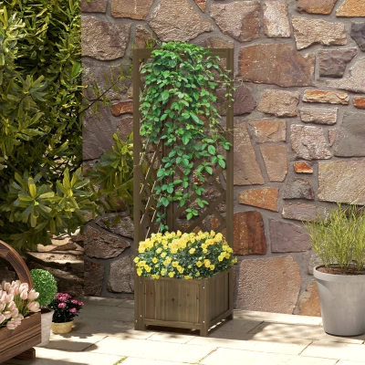 Outsunny Wooden Raised Garden Bed with Trellis, Carbonized