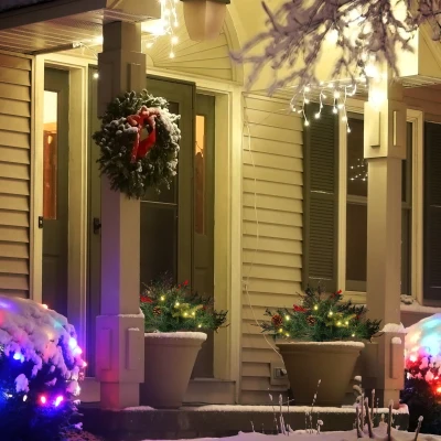 HOMCOM 2 Ft Prelit Artificial Christmas Tree, Outdoor Green