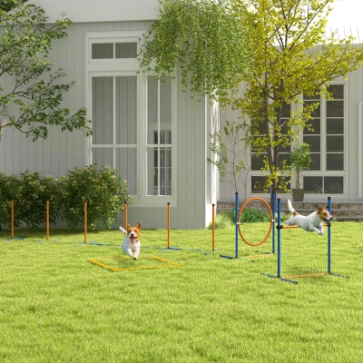 PawHut 4 Pcs Dog Agility Training Equipment, Orange