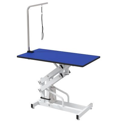PawHut Pet Grooming Table, Height Adjustable Dog Grooming Table with Arm, Noose and Non-Slip Grooming Table, Blue