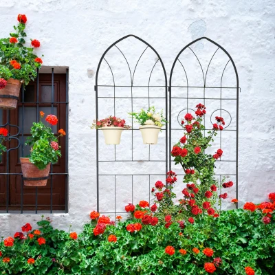 2 Pack Rustproof Metal Garden Trellis with 2 Pot Holders, Black