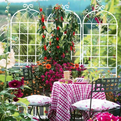 4 Pack Rustproof Garden Climbing Plant Support with Galvanized Round Pipe, Cream White