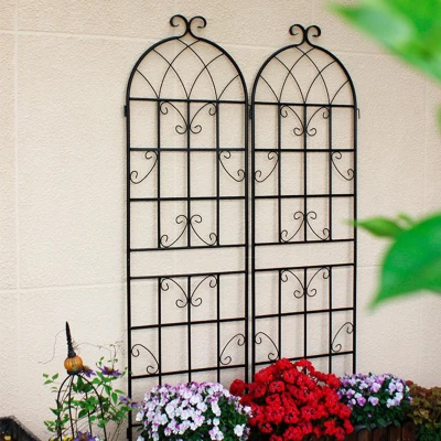 2 Pack Rustproof Garden Trellis with Powder-Coated Finish Galvanized Tube, Black