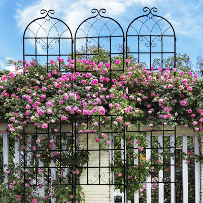 4 Pack Metal Garden Trellis with Galvanized Tube, Black