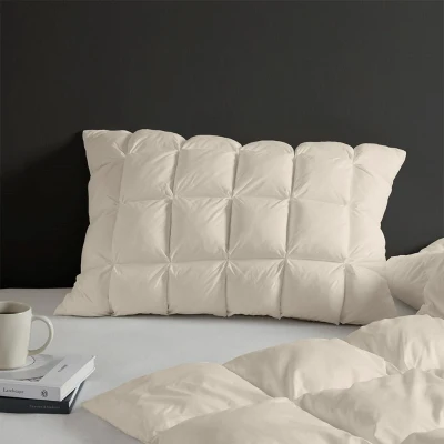 Luxuriously Soft Standard Overfilled Pillow Protector with 100% Polyester Microfiber, Beige