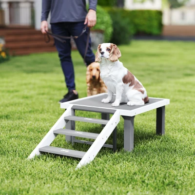 PawHut Wooden Dog Training Platform with Ladder, Gray
