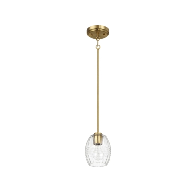 Single Pendant Chain Hanging Light with Clear Glass Shade, Clear+Gold