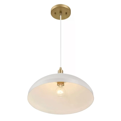 Pendant Lamp with Astral Single Light, Gold+White