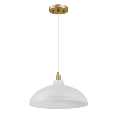 Pendant Lamp with Astral Single Light, Gold+White