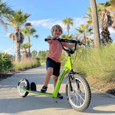 Aosom Kids Scooter with Adjustable Handlebar, Youth Kick Scooter with Dual Brakes, Inflatable Wheels, for Age 5+, Green