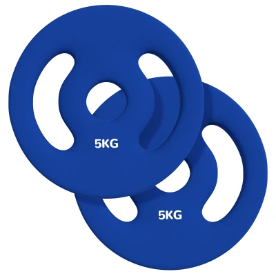 Soozier 2 x 11lbs Standard Weight Plates with Easy-Grip Handles, 1" Holes, for Home, Gym, Weight Lifting and Strength Training