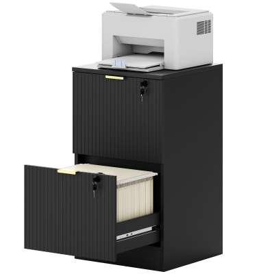 HOMCOM Lockable Filing Cabinet with 2 Fluted Drawers, File Cabinet with Adjustable Hanging Rails for A4 Letter Files, Black