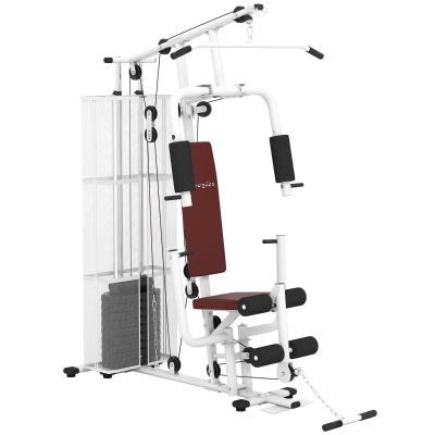 Soozier Home Gym, Multifunction Gym Equipment Workout Station with 100Lbs Weight Stack for Lat Pulldown, Leg Extensions, Preacher Bicep Curls, Triceps Pulldowns, Chest Press, White