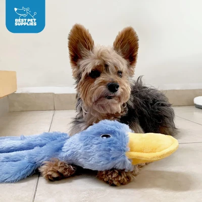 Crinkle Dog Toy with Soft Squeaker, Yellow