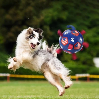 Interactive Dog Soccer Ball Toy with Straps, Blue+Red