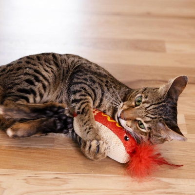 Catstages Hotdog Kicker Toy with Catnip, Dental Mesh, Plush and Feather Cat Toy for Kicking, Tossing, Teeth Cleaning, 2" L x 2" W x 6.5" H, Red