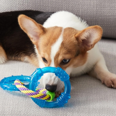 Petstages Orka Dental Links Dog Chew Toy with ORKA Material, Textured Design for Teeth Cleaning, Gum Massage, 9" L x 4" W x 1" H, Multicolor