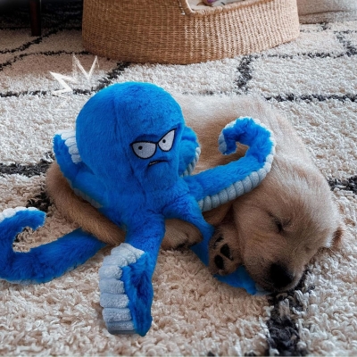Tough Dog Toys with Crinkle Octopus Design, Interactive Squeaky Chew Toy for Aggressive Chewers, 11.5" L x 3" W x 8.5" H, Blue