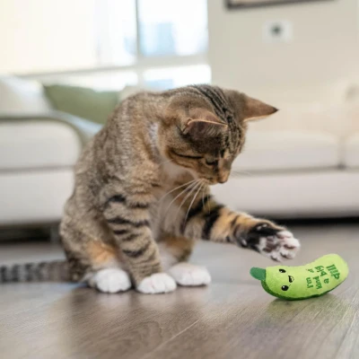 Catstages Crunchy Pickle Kicker Toy with Catnip, Green