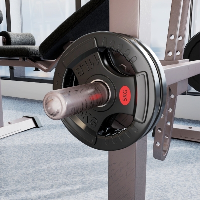 Soozier Weight Plates Set, 2-Inch Barbell Weights Set w/Tri-Grips for Home Gym Weightlifting and Strength Training, 2 x 11lbs