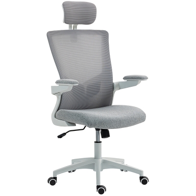 HOMCOM Ergonomic Office Chair, Swivel Desk Chair with Adjustable Lumbar Support, Headrest and Height, Flip-up Armrests, Grey