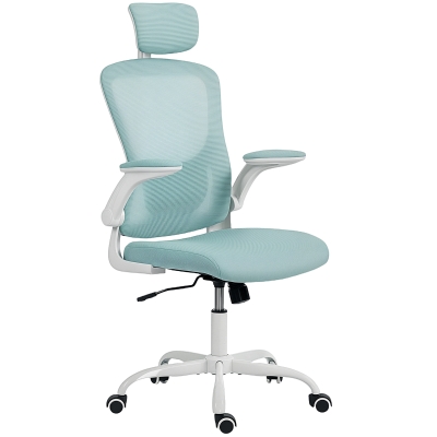 HOMCOM Ergonomic Office Chair, Mesh Desk Chair with Adjustable Headrest, Lumbar Support and Height, Tilt Function, Light Green