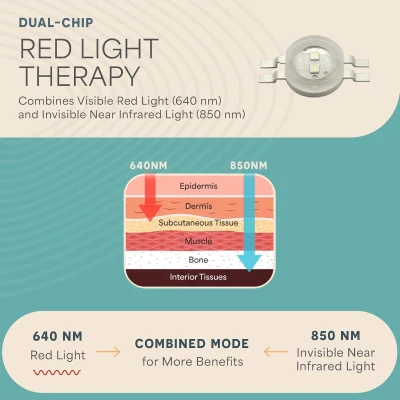 Lifepro FlexStride Under-Desk Elliptical with Optional Red Light Therapy – Quiet Seated Pedal Exerciser for Seniors & Adults, Portable Home/Office Leg Trainer
