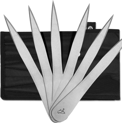 The Beak 6-Pack Throwing Spikes Set — 0.236"" Thick Premium Stainless Steel with Sheath for Beginners and Pros