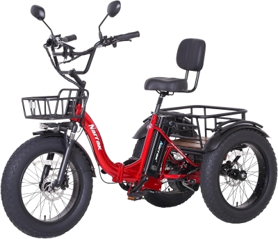 Narrak Folding Electric Tricycle for Adults — 750W (Peak 1350W), 48V13Ah UL Battery, 20x4"" Fat Tires, Differential Rear Motor, Hydraulic Brake System
